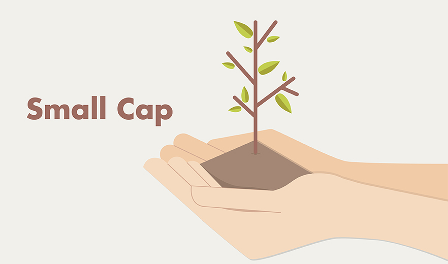 What Is Small Cap Fund? Who Should Invest in Such Funds and Why?
